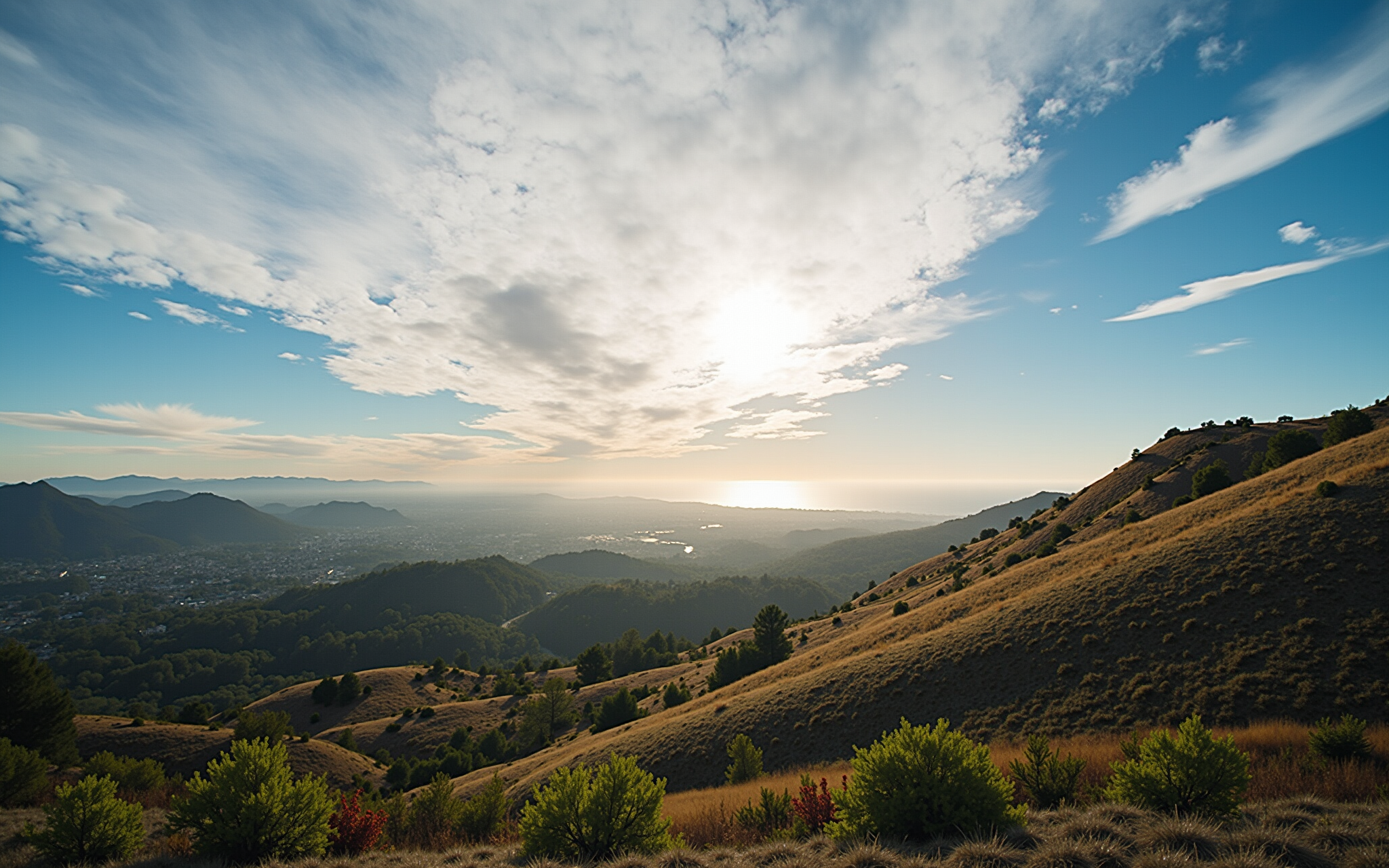 Why Santa Barbara is a Top Choice for Food-Lover Destinations