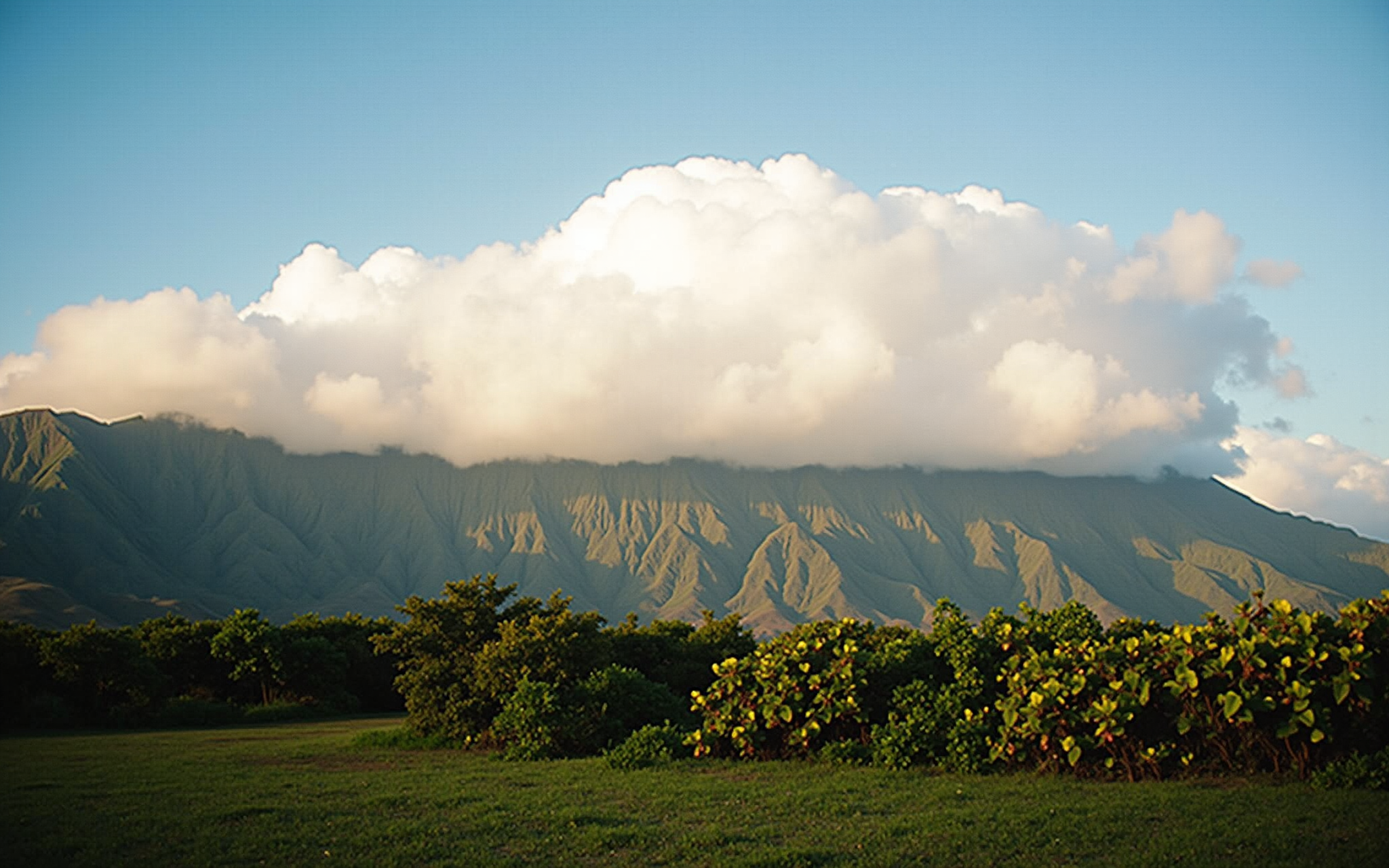 Slow Pace and Spiritual Reset: Choosing Your Next Wellness Retreat